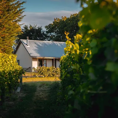 St Leonards Vineyard Cottages-3